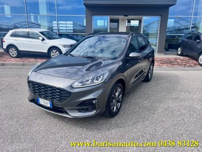 Ford Kuga 2.0 EcoBlue 120 CV aut. 2WD ST-Line X usata