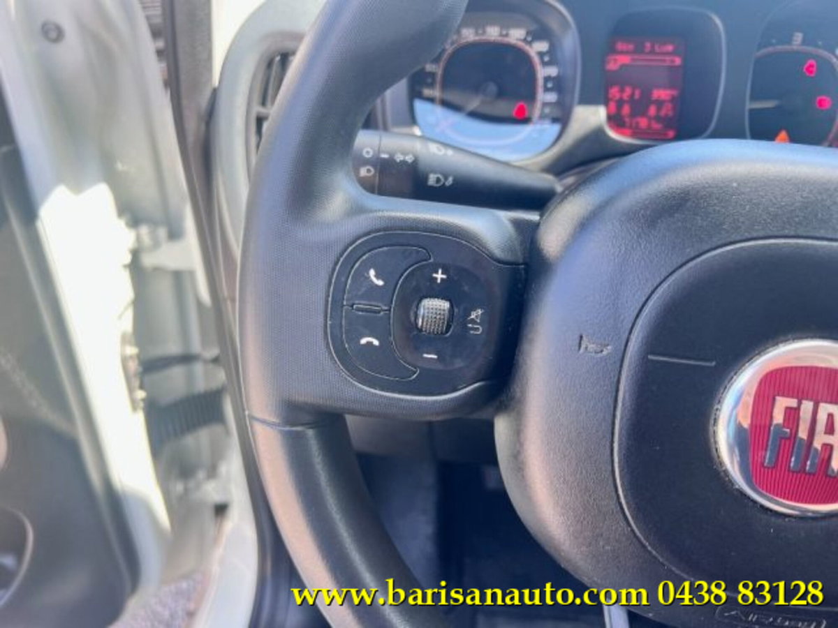 Fiat Panda 1.3 MJT 95 CV S&S 4x4 (12)
