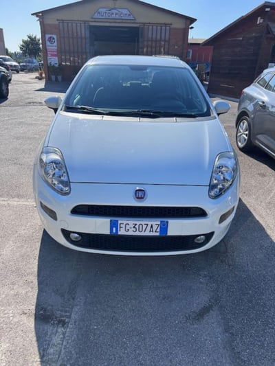 Fiat Punto 1.3 MJT II S&S 95 CV 5 porte Street usata