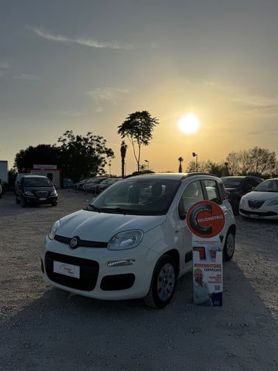 Fiat Panda 1.2 EasyPower Easy usata
