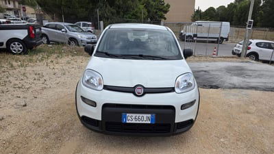 Fiat Panda Cross Cross 1.0 FireFly S&S Hybrid usata