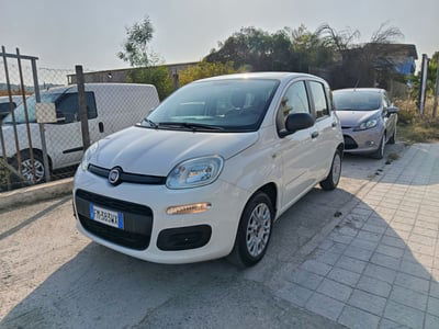 Fiat Panda 1.2 Easy usata