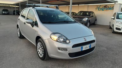 Fiat Punto 1.4 8V 5 porte Easypower Street usata