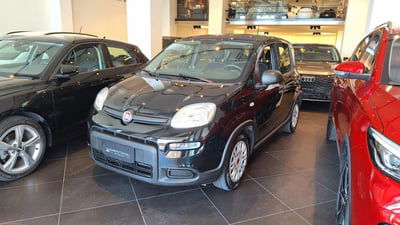 Fiat Panda Cross Cross 1.0 FireFly S&S Hybrid usata