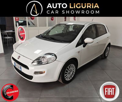 Fiat Punto 1.3 MJT II 75 CV 5 porte Street usata