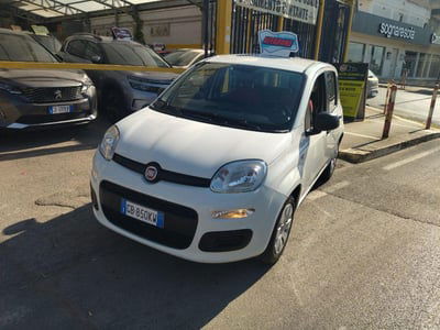 Fiat Panda 1.2 Pop usata