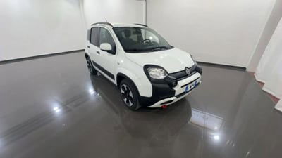 Fiat Panda Cross 1.0 firefly hybrid Cross s&s 70cv 5p.ti usata