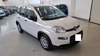 Fiat Panda 1.0 firefly hybrid s&s 70cv 5p.ti usata