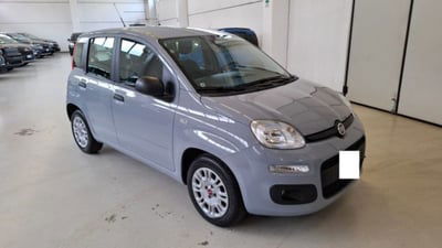 Fiat Panda 1.2 EasyPower Sport usata