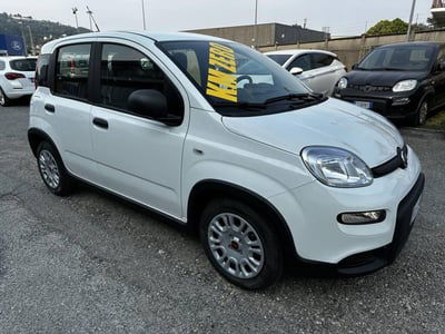 Fiat Panda Cross Cross 1.0 FireFly S&S Hybrid nuova