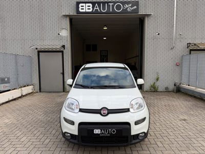 Fiat Panda 1.0 firefly hybrid s&s 70cv 5p.ti usata