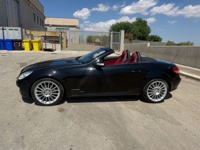 Mercedes-Benz SLK 200 Kompressor cat (6)