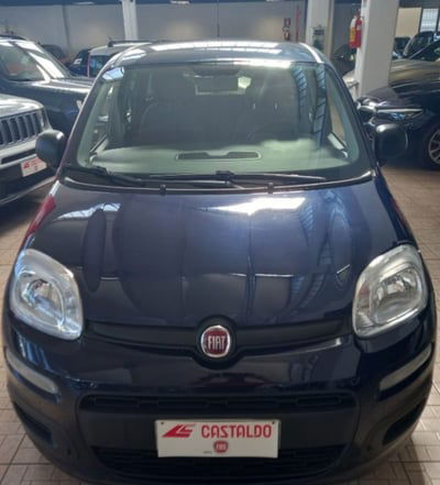 Fiat Panda 1.2 Easy usata