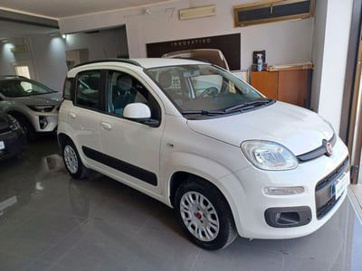 Fiat Panda 1.2 Lounge usata