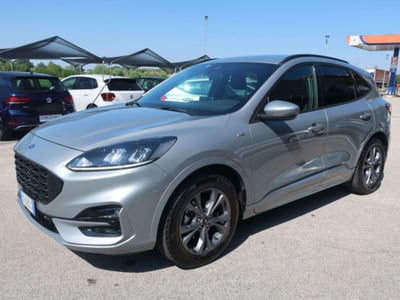 Ford Kuga 1.5 EcoBlue 120 CV aut. 2WD ST-Line X usata