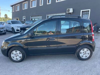 Fiat Panda 1.2 4x4 usata