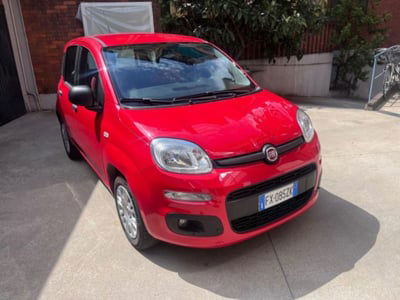 Fiat Panda 1.2 Easy usata