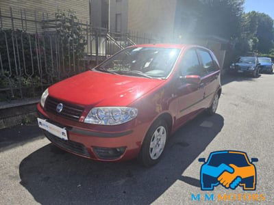Fiat Punto 1.2 5 porte Actual usata