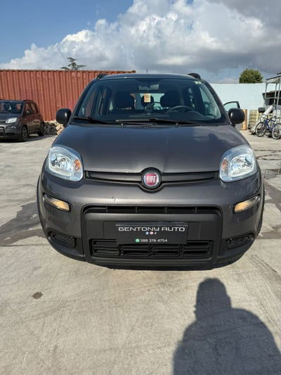Fiat Panda 1.0 FireFly S&S Hybrid City Cross usata