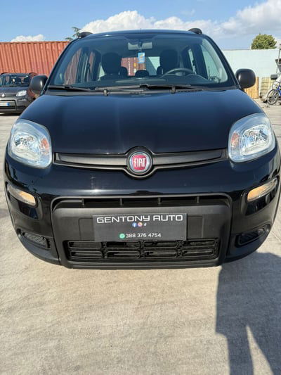 Fiat Panda 1.0 FireFly S&S Hybrid City Cross usata
