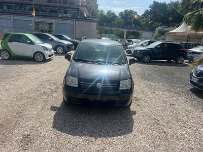 Fiat Panda 1.2 Dynamic usata