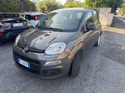 Fiat Panda 1.2 EasyPower Easy usata