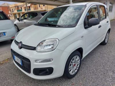 Fiat Panda 1.2 EasyPower Easy usata
