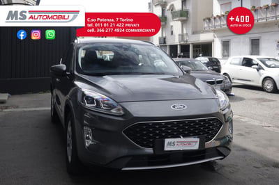Ford Kuga 1.5 EcoBlue 120 CV aut. 2WD ST-Line X usata