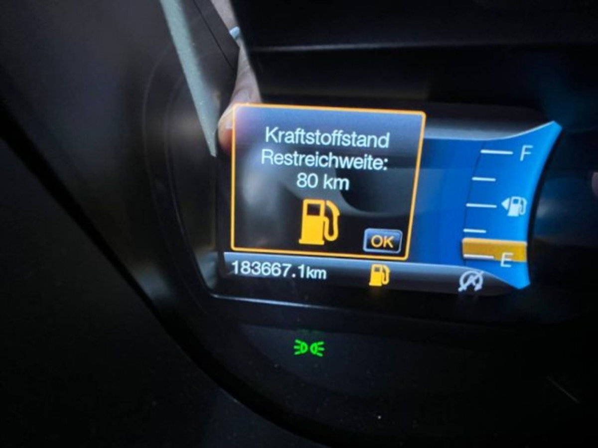 Ford Ranger Pick-up Ranger 3.2 TDCi aut. DC Wildtrak 5pt. (15)