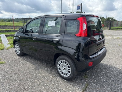 Fiat Panda Cross Cross 1.0 FireFly S&S Hybrid (3)