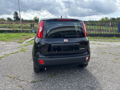 Fiat Panda Cross Cross 1.0 FireFly S&S Hybrid (4)