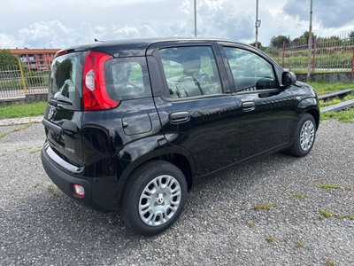 Fiat Panda Cross Cross 1.0 FireFly S&S Hybrid (5)