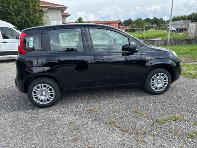 Fiat Panda Cross Cross 1.0 FireFly S&S Hybrid (6)