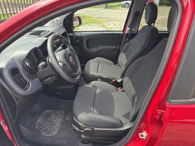 Fiat Panda Cross Cross 1.0 FireFly S&S Hybrid (10)