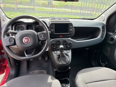 Fiat Panda Cross Cross 1.0 FireFly S&S Hybrid (11)