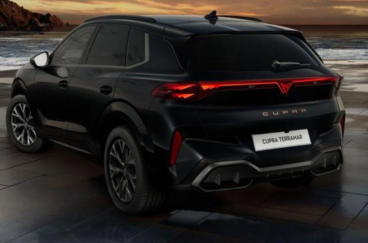 Cupra Terramar 1.5 hybrid 150cv dsg (3)
