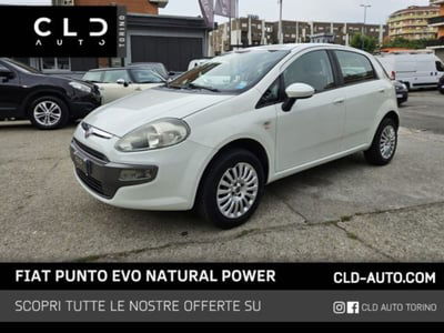 Fiat Punto Evo 1.4 5 porte Active Natural Power usata