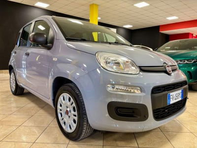Fiat Panda 1.2 usata