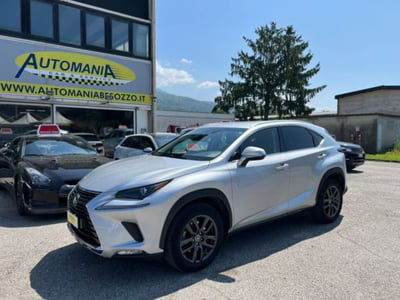 Lexus NX Hybrid 4WD Business usata