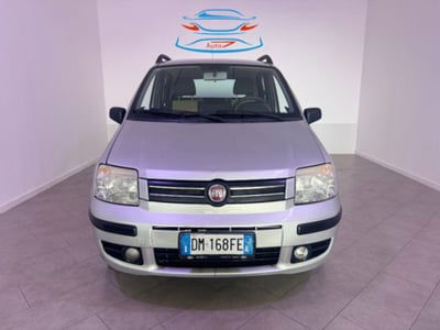 Fiat Panda 1.2 Alessi usata