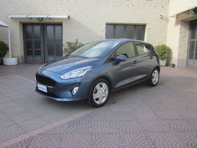 Ford Fiesta 1.1 75 CV GPL 5 porte usata