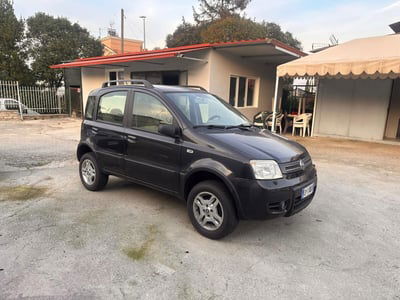 Fiat Panda 1.2 4x4 Climbing usata