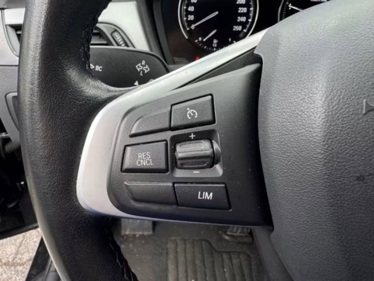 BMW X1 xDrive25e Business Advantage (7)