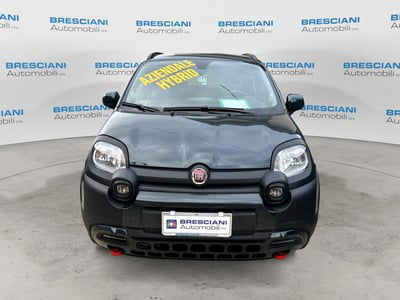 Fiat Panda 1.0 FireFly S&S Hybrid City Cross usata