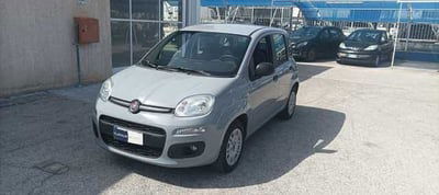Fiat Panda 1.2 Easy usata
