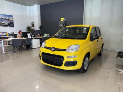 Fiat Panda 1.0 firefly hybrid Pop s&s 70cv nuova