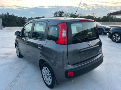 Fiat Panda 1.0 firefly hybrid s&s 70cv 5p.ti (4)