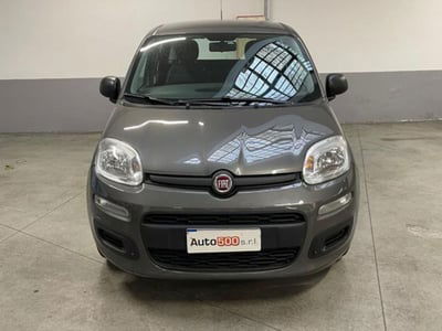 Fiat Panda 1.2 Easy usata
