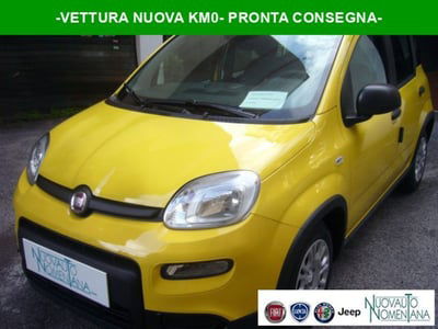 Fiat Panda 1.0 firefly hybrid s&s 70cv 5p.ti nuova