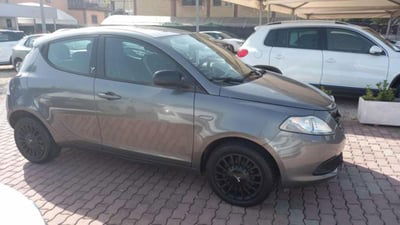Lancia Ypsilon 1.2 69 CV 5 porte GPL Ecochic Alberta Ferretti usata
